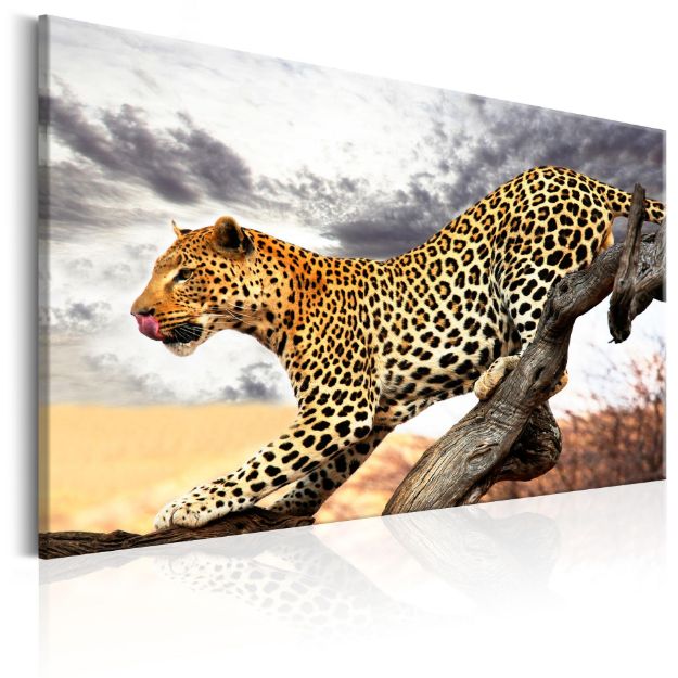 Quadro - Sguardo predatorio