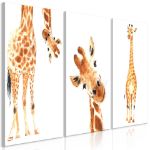 Quadro - Giraffe divertenti