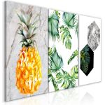 Quadro - Tropici caldi