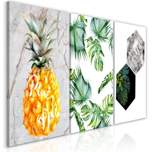 Quadro - Tropici caldi