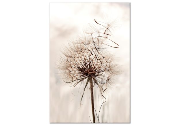 Quadro - Esplosione magnetica