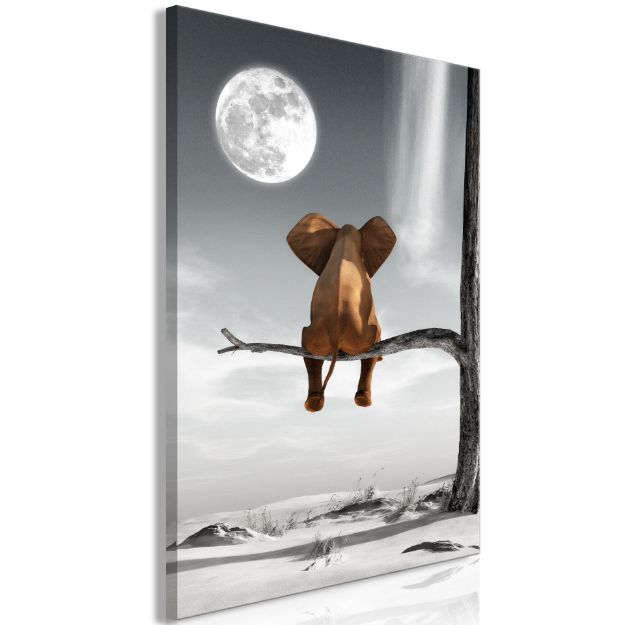 Quadro - Elefante e Luna