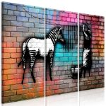 Quadro - Lavaggio Zebra