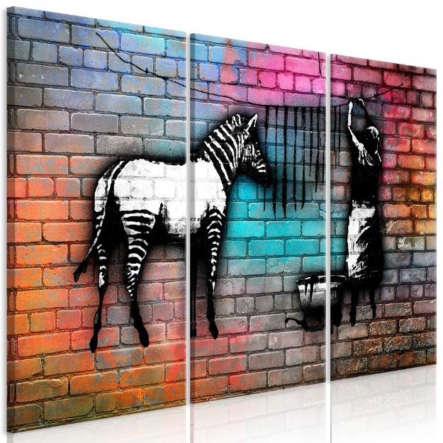 Quadro - Lavaggio Zebra