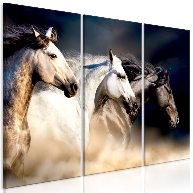 Quadro - Figli del vento