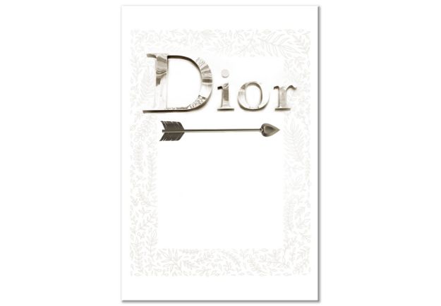 Quadro - Silver Dior