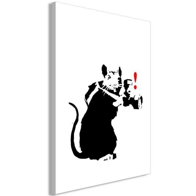 Quadro - Fotografo di ratti