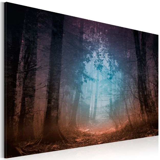 Quadro - Bordo della foresta