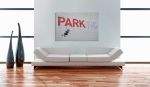 Quadro - Parcheggio (Banksy)