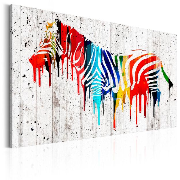 Quadro - Zebra colorata