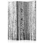 Paravento -  Foresta di betulle