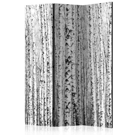 Paravento -  Foresta di betulle