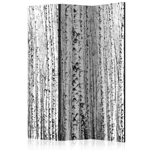 Paravento -  Foresta di betulle