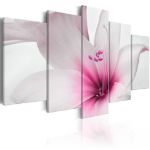 Quadro - Amarylis: Charm rosa