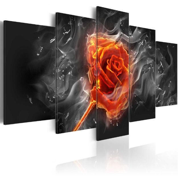 Quadro - Rosa ardente