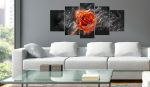 Quadro - Rosa ardente