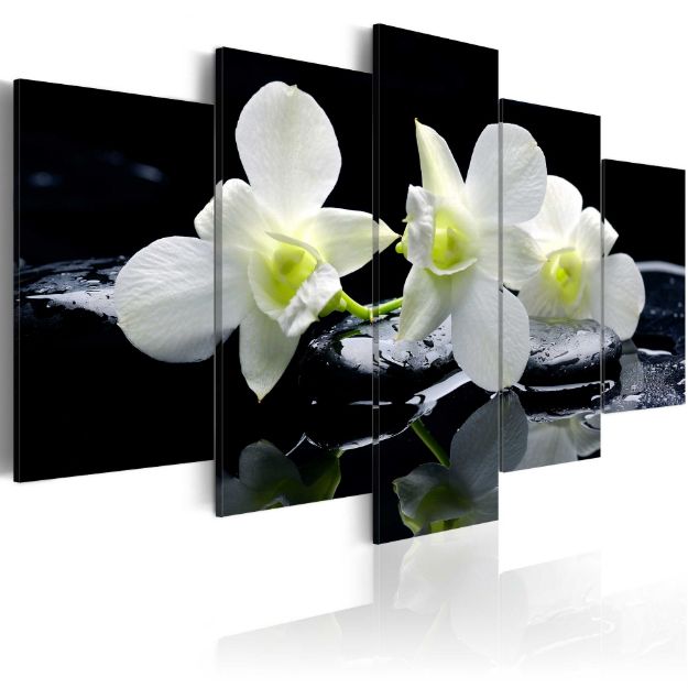 Quadro - Orchidee malinconiche