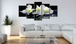 Quadro - Orchidee malinconiche