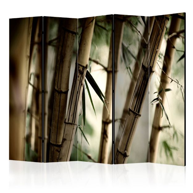 Paravento - Nebbia e foresta di bambù 5 pannelli 